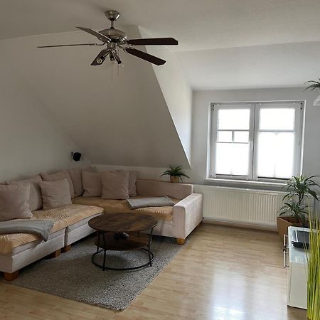 Bambus, Jungle, Dachterrasse & Bequem Bis Zentrum Радебойл Екстериор снимка