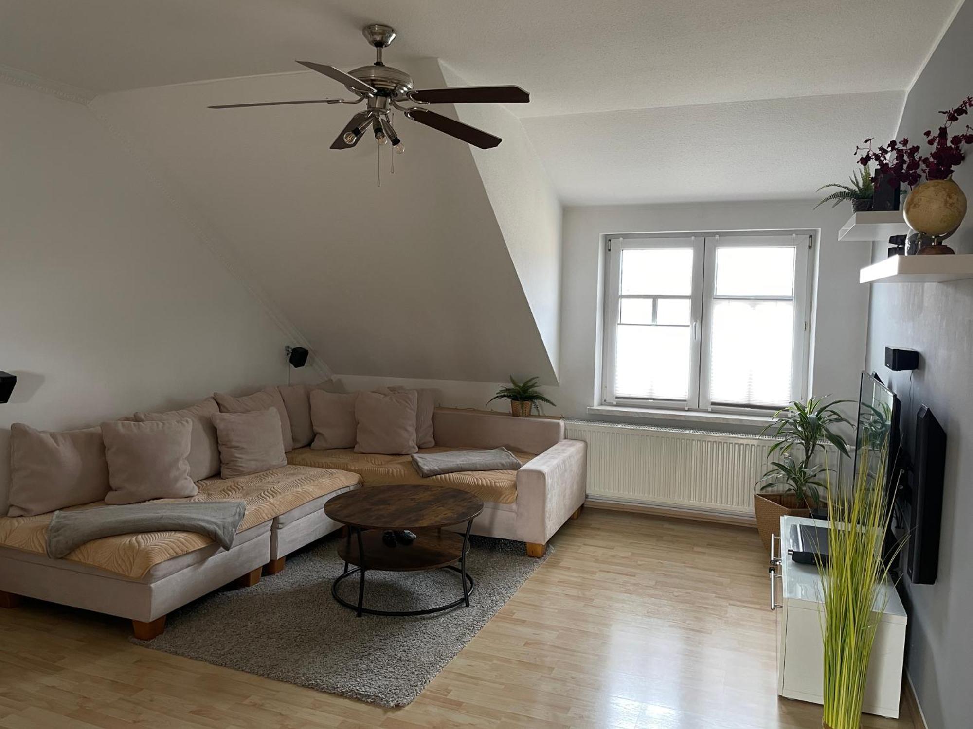 Bambus, Jungle, Dachterrasse & Bequem Bis Zentrum Радебойл Екстериор снимка